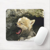 Coyote pup yawning mousepad (Mit Mouse)