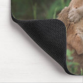 Coyote Puppies Wrestling (Canis Latrans) Mousepad (Ecke)