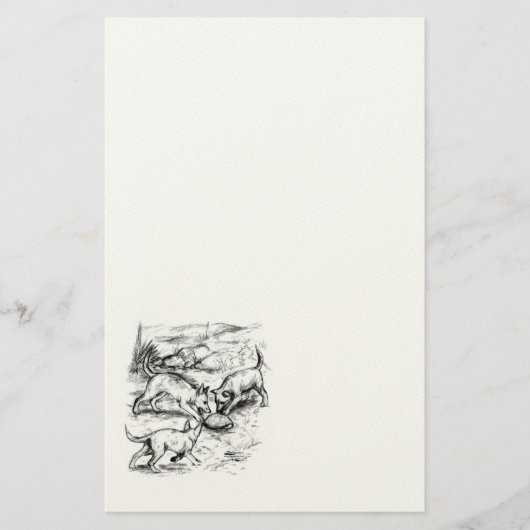 Coyote Pups Briefpapier (Vorderseite)
