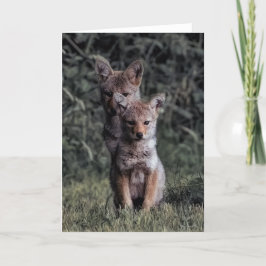 Coyote Pups Danke Karte
