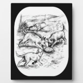 Coyote Pups Fotoplatte (Vorderseite)