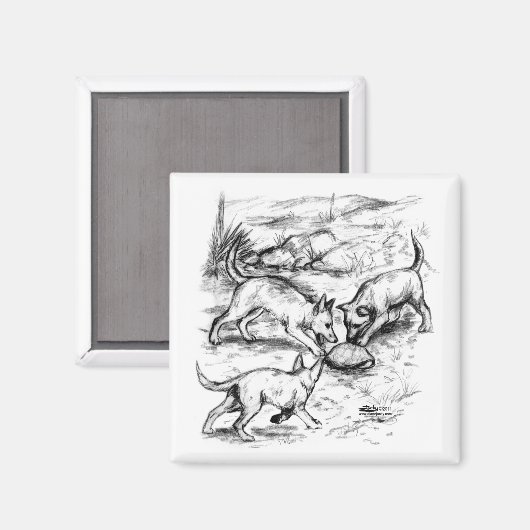 Coyote Pups Magnet (Vorderseite/Rückseite)