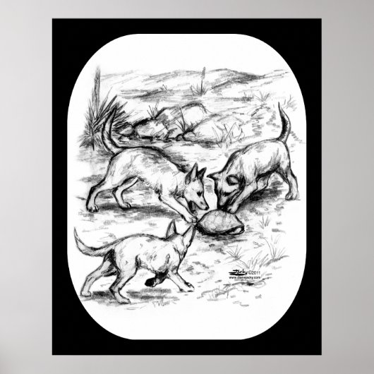 Coyote Pups Poster (Vorne)