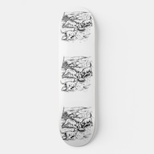 Coyote Pups Skateboard (Vorderseite)