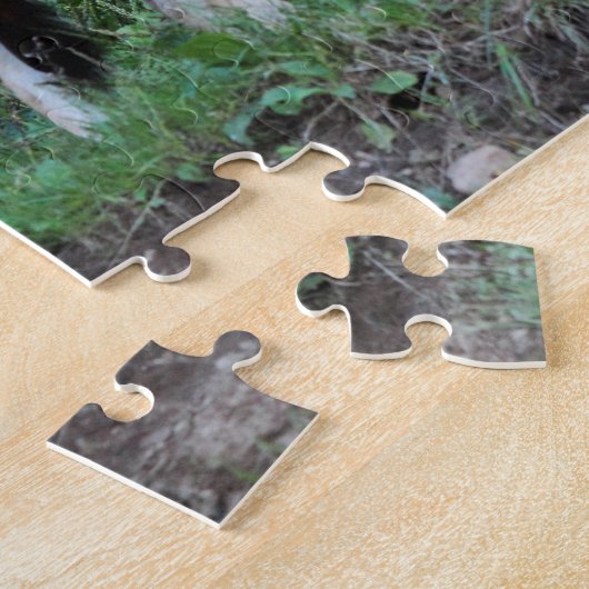 Coyote Puzzle (Seite)