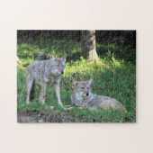 Coyote Puzzle (Horizontal)