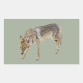 Coyote Rechteckiger Aufkleber (Vorderseite)