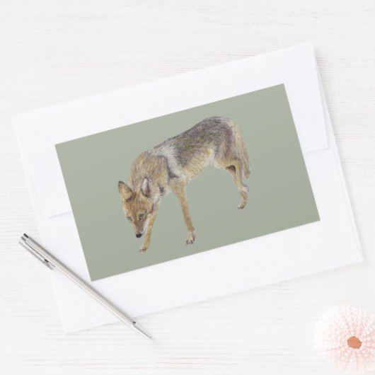 Coyote Rechteckiger Aufkleber (Umschlag)
