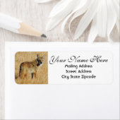 Coyote Rücksendeadresse (Insitu)