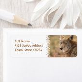 Coyote-Rücksendeadresse-Mailing-Etikett (Insitu)