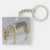 Coyote Schlüsselanhänger (Rückseite)