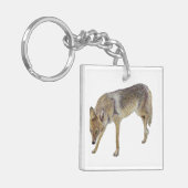 Coyote Schlüsselanhänger (Vorderseite links)