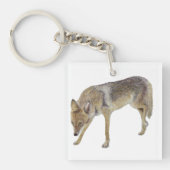 Coyote Schlüsselanhänger (Vorderseite)