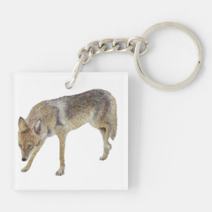 Coyote Schlüsselanhänger
