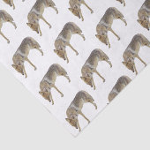 Coyote Seidenpapier (Ausschnitt)