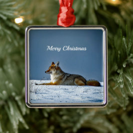 Coyote Snow Foto Weihnachten Ornament Aus Metall