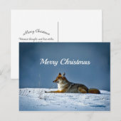 Coyote Snow Foto Weihnachten Postkarte (Vorne/Hinten)
