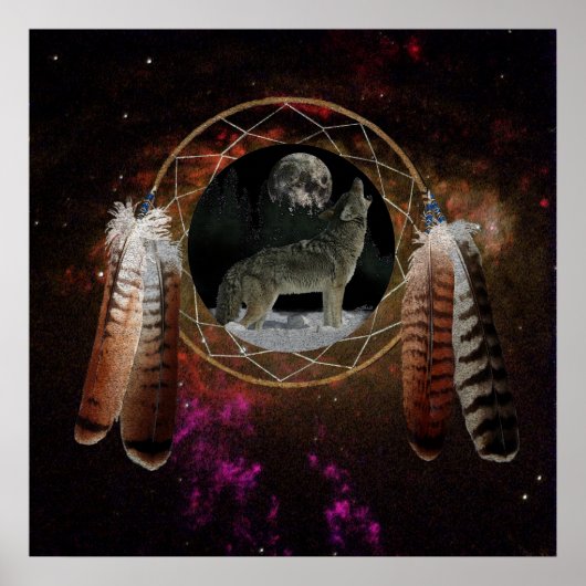 Coyote Spirit Poster (Vorne)