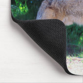 Coyote steht an einer Straße Mousepad (Ecke)