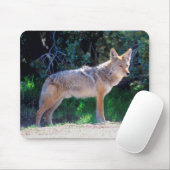 Coyote steht an einer Straße Mousepad (Mit Mouse)