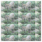 Coyote Stoff (Muster)