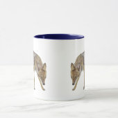 Coyote Tasse (Zentrum)