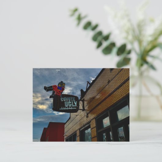 Coyote Ugly Postkarte (Stehend Vorderseite)