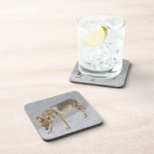 Coyote Untersetzer (Rechte Seite)