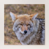 Coyote Wild Dog Puzzle (Vertikal)