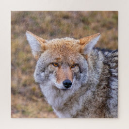 Coyote Wild Dog Puzzle