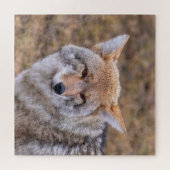 Coyote Wild Dog Puzzle (Horizontal)
