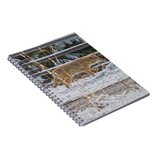 Coyote Wildlife-Fans-Notebook Notizblock (Rechte Seite)