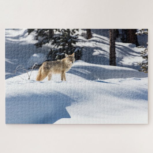 Coyote Winter Scene Jigsaw Puzzle (Horizontal)