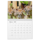 Coyotes Calendar Kalender (Feb 2027)