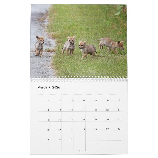 Coyotes Calendar Kalender (Mär 2026)