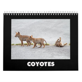 Coyotes-Kalender Kalender