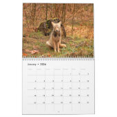 Coyotes-Kalender Kalender (Jan 2026)