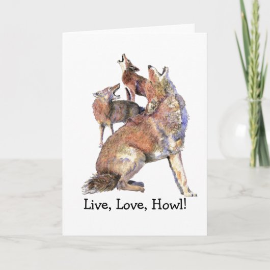 Coyotes live, Liebe, Howl, Fun Howling, Kojotes Ti Karte (Vorderseite)