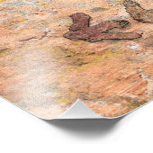 Coyotes Petroglyphen in Arizona Fotodruck (Ecke)