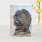 Coypu im Wasser Karte (Gelbe Blume)
