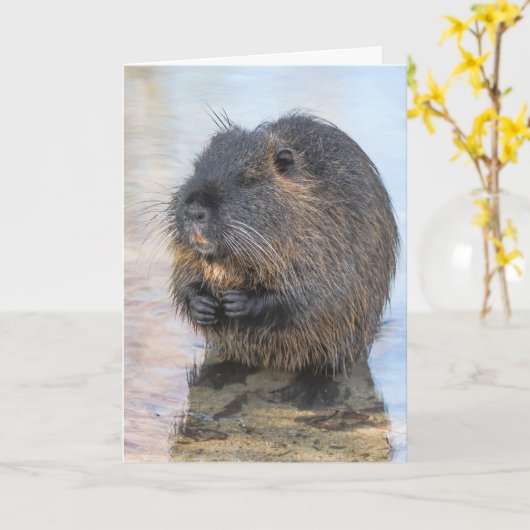 Coypu im Wasser Karte (Gelbe Blume)