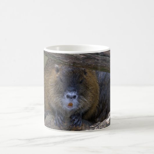 Coypu Kaffeetasse (Mittel)