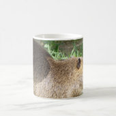 Coypu-Tasse Kaffeetasse (Mittel)