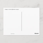 Coypus Postkarte (Rückseite)