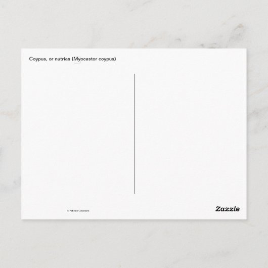 Coypus Postkarte (Rückseite)