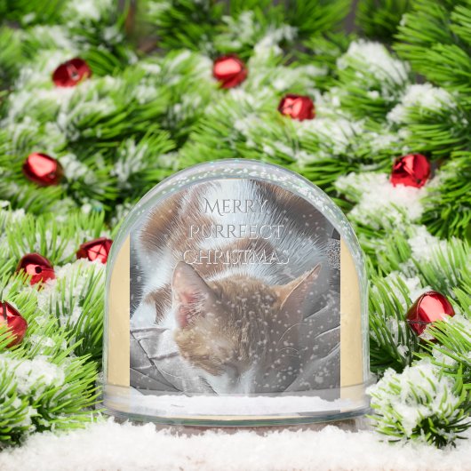 Coz Kitten Snow Globe Christmas Gift Schneekugeln (Weihnachten)