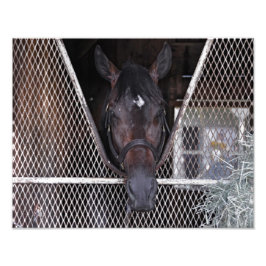 Cozmic One in Historic Saratoga Fotodruck
