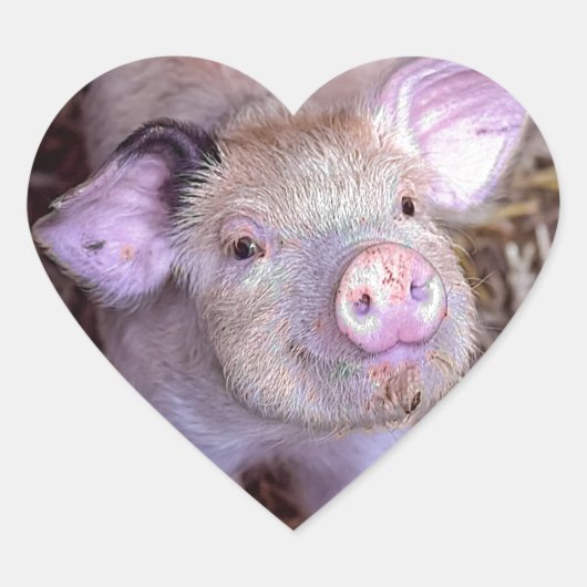 Cozmico Herz-Aufkleber (Vorderseite)