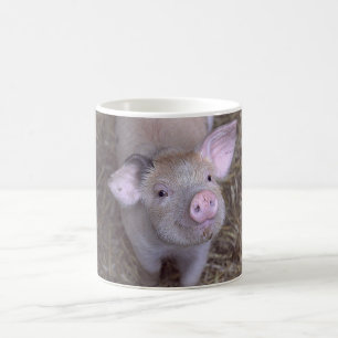 Cozmico Kaffeetasse