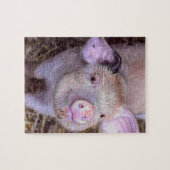 Cozmico Puzzle (Horizontal)